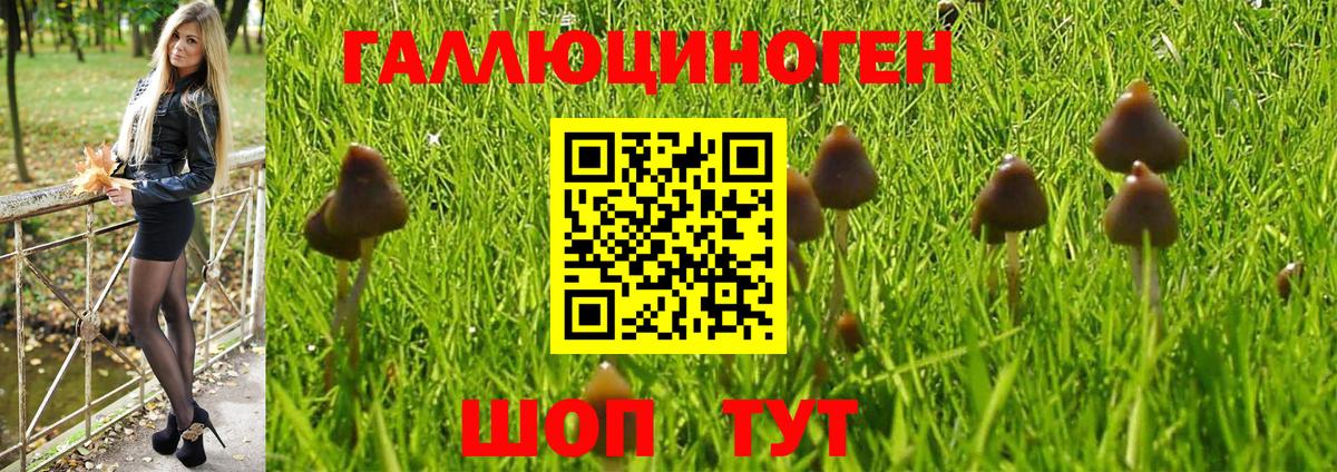 Омск  Псилоцибиновые грибы мухоморы  Вход с VPN 